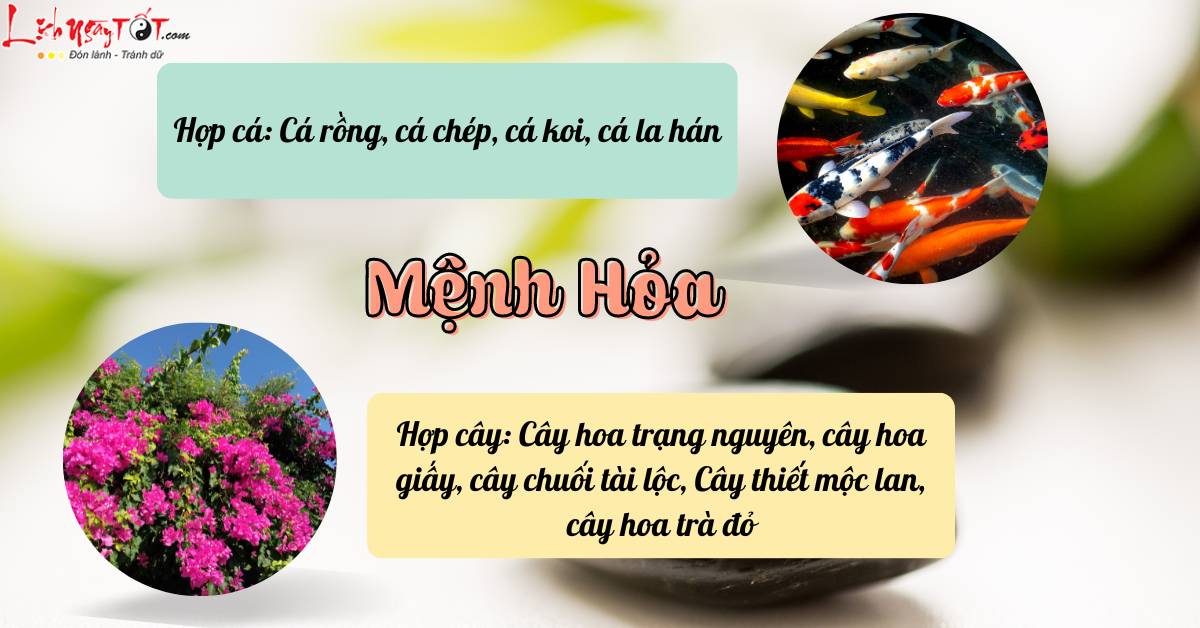 Phong thuy cho menh Hoa